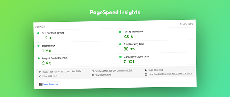 Screengrab of Google PageSpeed Insights